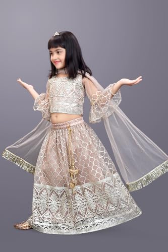 Image of Girl's Princess Lehenga Choli Set - Soft Net, Ribbon Embroidery With Duppata, Readymade