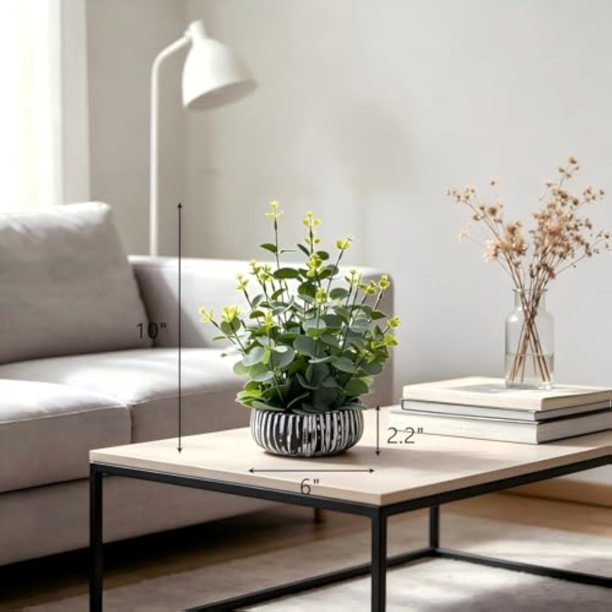 Potted Eucalyptus Plant for Kitchen and Office Decor