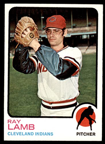 1973 Topps #496 Ray Lamb Cleveland Indians (Baseball Card) NM Indians