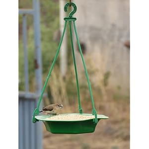 Amijivdaya Plastic Bowl Bird Feeder for Food & Water, Multipurpose, Medium