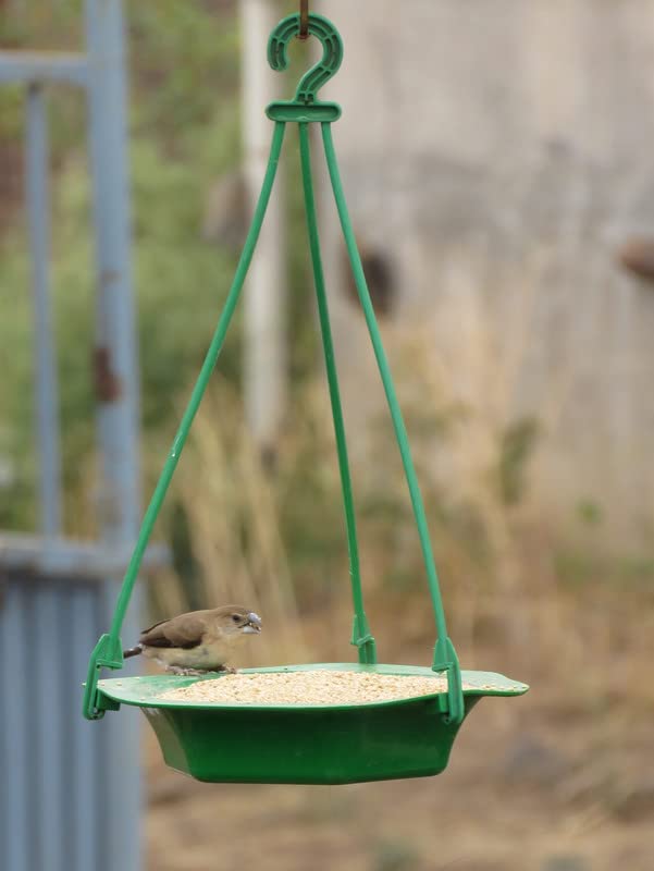 Amijivdaya Plastic Bowl Bird Feeder for Food & Water, Multipurpose, Medium (B0B5L5KSN6) Amazon Price History, Amazon Price Tracker