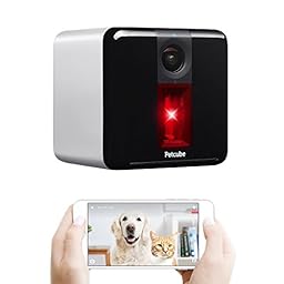 Petcube Play photo