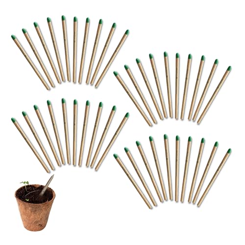 Image of Bombay Greens - 40 Plantable Seed Pencils - Bio degradable Eco-Friendly Stationery for Corporate Gifting | Sustainable Gifts with Seeds - Pack of 40