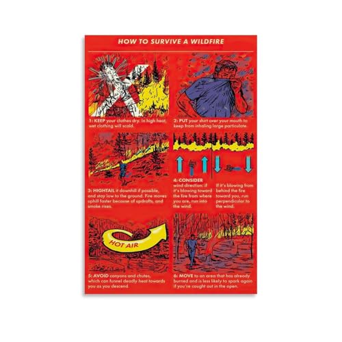 Wildfire Home Safety Checklist Poster Bushfire Survival Guide (4) Canvas for Bedroom Living Room Decor 12x18inch(30x45cm) Unframe-style