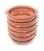 Produktbild Alfareria Padilla 6er-Set Cazuela Tonschale klein, traditionel, flach, rund, braun 12 cm | 6x12cm