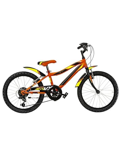Misura del Telaio: Bicicletta da 20 pollici progettata specificamente per bambini
