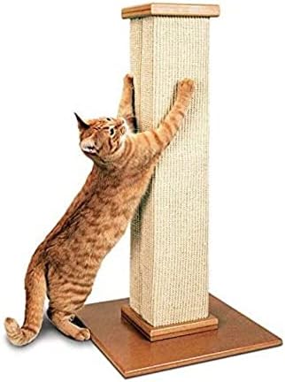 Smart Cat The Ultimate Scratching Post