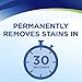 Woolite InstaClean Permanent Stain Remover, 2 Pack, 21799