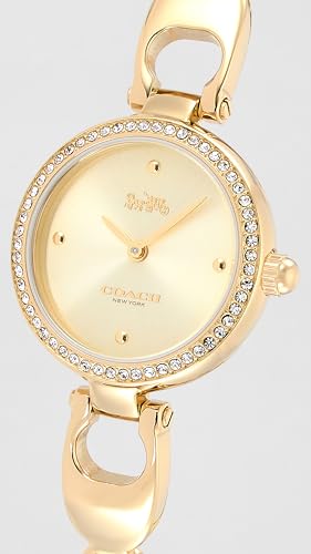 Image of Coach Park Qtz Basic Gold Round Dial Women's Watch|Ionic Plated Thin Gold Steel Material|Gold Color Band - 14503171