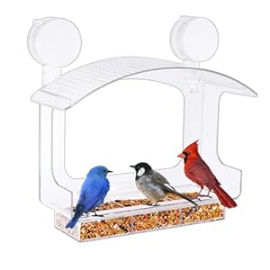 Window Bird Feeder with Strong Adhesive Suction Cups, Clear Bird Feeders for Window Viewing, Acrylic Window Bird Houses for Viewing Inside, Suction Bird Window Feeder for Cats