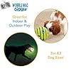 Wobble Wag Giggle & Glow | Rolling Enrichment Toy for Fun Playtime, Interactive Play for Indoor or Outdoor, Keeps Dogs & Puppies Large, Medium or Small Busy & Moving, As Seen on TV | Pack of 2 #3