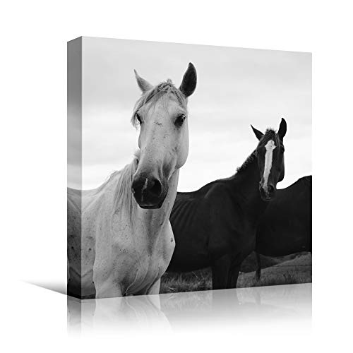 bestdeal depot High Contrast Horse III Animals Black and White