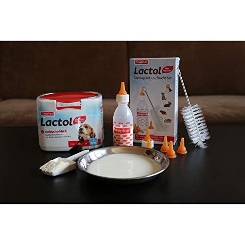 BEAPHAR - Lactol Aufzucht-Milch - Für Hundewelpen - Von Geburt An - Muttermilchersatz Mit DHA, Vitaminen Und Mineralien - Unterstützt Gesunde Aufzucht Und Stärkung - 1 kg