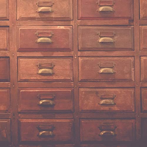 Yinpecly Vintage Label Holder Cup Shell Pull Handles Retro Zinc Alloy Tag Label Holders Frames For Traditional Apothecary Cabinet Library Post Office Bronze Tone 3.22" X 1.41" X 0.7" 2Pcs #TOP4