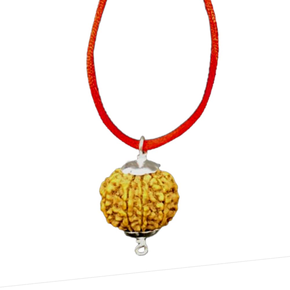 Perle de 8 Mukhi Rudraksha premium sélection de lignes naturelles 18-20 mm
