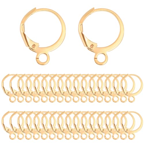 Leverback Earring Hooks 100 Pcs Stainless Steel Round Lever Back Clasp Hoop French Ear Wire Leverbacks Hook Dangle Tarnish Resistant Gold Lever Back Earring Hooks for Jewelry Making
