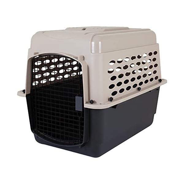 Petmate Vari Dog Kennel, Portable Dog Crate for Medium, & Average Sized Large Dogs, Great for