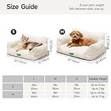 MEWOOFUN Katzen Sofa Katzenbett für Wohnungskatzen, Niedlich Kätzchen Bett Haustiersofa mit abnehmbarem, waschbarem Bezug und Rutschfester Unterseite für kleine Hunde (Weiß, M)