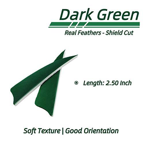 M.sjumpper Archery 2.50 Inch Arrows Feathers Fletching With Shield Cut For Hunting Targeting (Pack Of 36) #TOP1