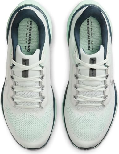 Image of Nike Womens Pegasus 41