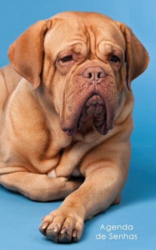 Agenda de Senhas: Agenda para endereços eletrônicos e senhas: Capa French Mastiff - Português (Brasil) (Agendas com cães) (Portuguese Edition)
