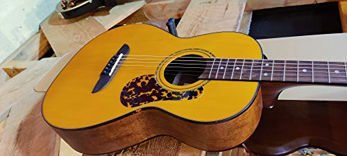Framus Legacy FP 14 SV Parlor, guitare folk avec micro Jaune satiné - Les Beatles, Paul McCartney, John Lennon, RIngo Starr, George Harrison Framus Legacy FP 14 SV Parlor, guitare folk avec micro Jaune satiné – Image 3