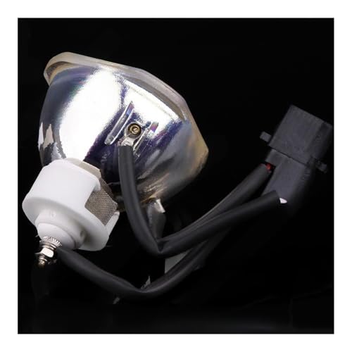 Ampoule nue NEC WT61LP pour vidéoprojecteur WT610 et WT615