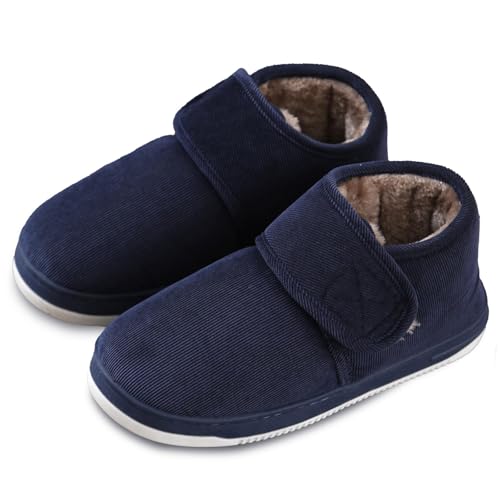 [V[Y g C hC y ߉\ NV[Y _炩 ʋC Xbp E֗   C