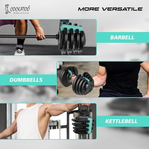 Image of Cockatoo Adjustable Dumbbell 3 in 1, Dumbbells Barbell Set With Connecting Rod, 2kg-19kg Barbell, 1.5kg-18kg Dumbbell, 1kg-10kg Kettlebell, Single Piece, Color - Blue