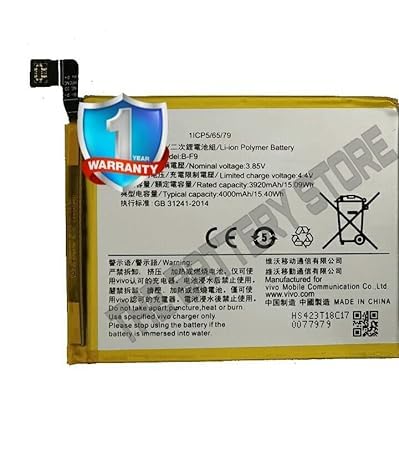 Image of THE BATTERY STORE Original B-F9 Battery for Vivo Y95 Battery with 1 Year Warranty**** (PPP161)