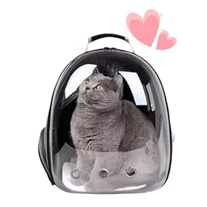 Cat Backpack Bubble, Cats and Dogs Pet Carrier Hard, Suitable for Cats Traveling Cat Bag Carrier, Transparent Outdoor Waterproof Spacecraft Pet Backpack Carrier(Black)