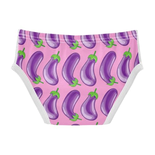 Colorful Eggplants Toddler Boy's Underwear 2T 202c12062