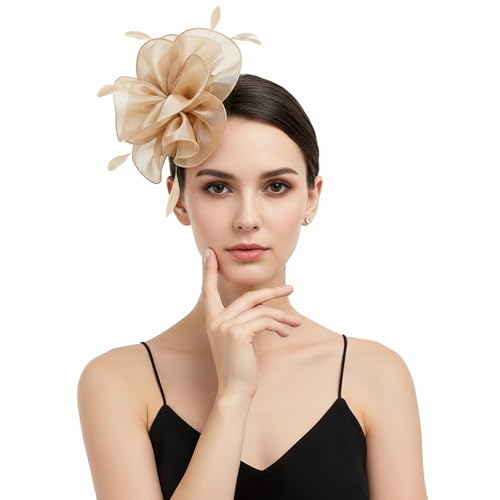 Image of DRESHOW Fascinators Hat Tea Party Headwear Ribbons Feathers on a Headband and a Clip for Women