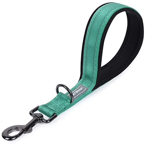 VIVAGLORY Short Dog Leash - Traffic and Training Leash for Medium & Large Dogs, 12 Inch, Green