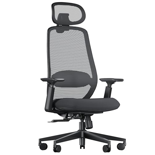 ProtoArc EC200 - Silla de oficina ergonómica, silla de escritorio para computadora de respaldo alto con soporte lumbar ajustable de 2 vías, profundidad del asiento y reposacabezas 3D, silla de