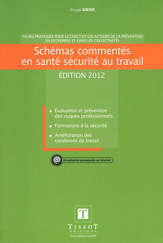 Télécharger Schémas commentés en santé sécurité au travail: Evaluation et prévention des risques professio Francais PDF