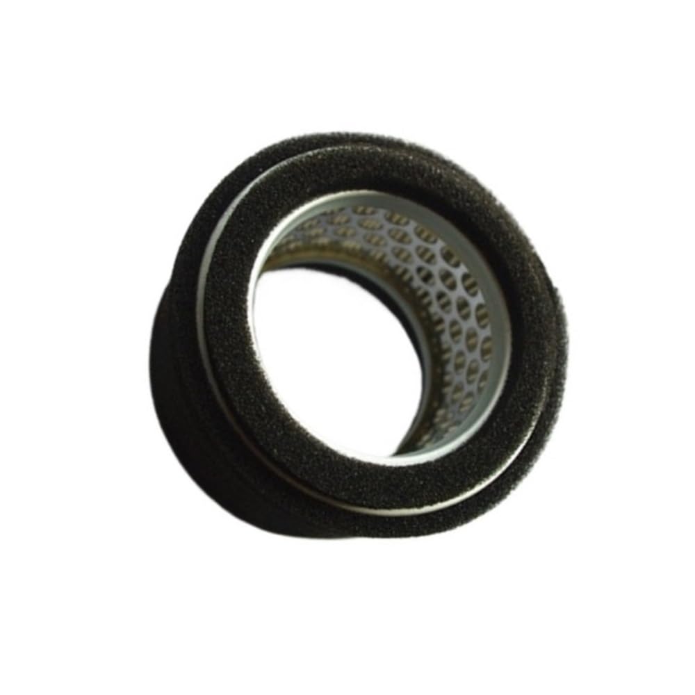 Filtro de aire EC08 compatible con desbrozadoras con motor EC08 y EC10. Reemplazo del filtro de aire.(2 X Air filter)