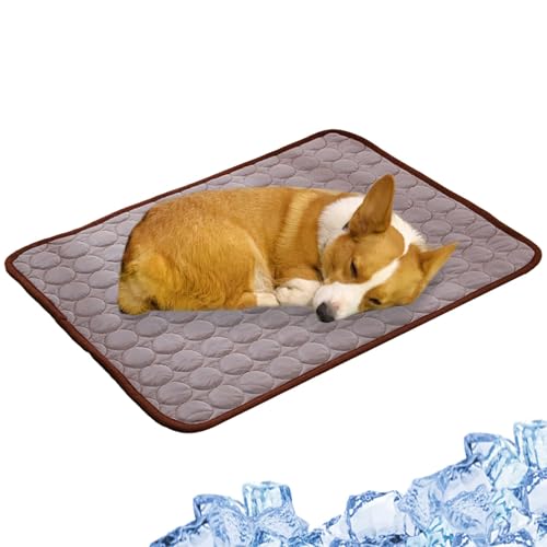Coussin de glace d'été Feng Shui tapis de refroidissement pour chien et chat