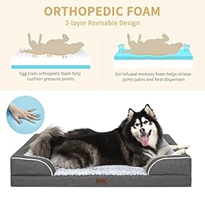 Memory-Foam-XL-Dog-Bed-with-Bolsters-Cooling-Dog-Beds-for-Extra-Large-Dogs-Waterproof-Orthopedic-Dog-Bed-with-Removable-Washable-Cover-and-Nonskid-BottomX-LargeDark-Grey - Cucciolini Doodles   Memory-Foam-XL-Dog-Bed-with-Bolsters-Cooling-Dog-Beds-for-Extra-Large-Dogs-Waterproof-Orthopedic-Dog-Bed-with-Removable-Washable-Cover-and-Nonskid-BottomX-LargeDark-Grey