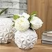 Torre & Tagus Crumple White Round Vase with Faceted Textures - 6