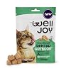 New! WellJoy Cat Treat Dental+ GutBoost | Helps Reduce Tartar | Helps Freshen Breath | Dual-Benefit GutBoost Formulation | Vet Formulated | Made in USA | Made with Real Chicken | 120 Soft Chews