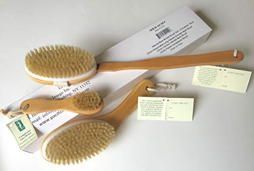 3 Brushes/Set 100% Natural Boar Bristle detachable Long Handle Wooden Dry Bath Body