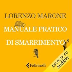 Manuale pratico di smarrimento copertina
