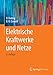 Elektrische Kraftwerke und Netze