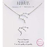 Jewelry Nexus みずがめ座 占星術に触発されたクリスタルペンダント 繊細なチェーンネックレス