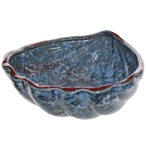 Centro de mesa concha Deep Sea em ceramica L19,8xP19,4xA7,8cm cor azul