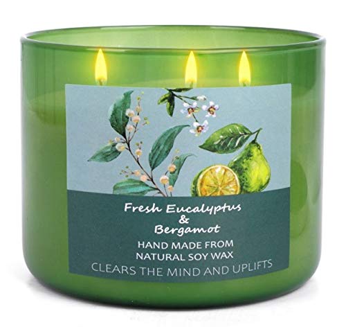 Large 3 Wick Scented Candle - Eucalyptus Bergamot Aromatherapy Stress Relief Candle with Pine, Rose & Cedar - 15.8 oz Spring Candles for Home - Eucalyptus Candles - Natural Soy Candles for Men & Women