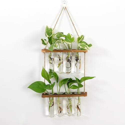 Soulnioi 2 Tiered Plant Terrarium Glass Plante/Test Tube Vase Glass Planter/Hanging Plant Glass/Wooden Frame Hydroponic Vase For for Hydroponic Plants(INCLUDE 8PCS tube) - Image 2