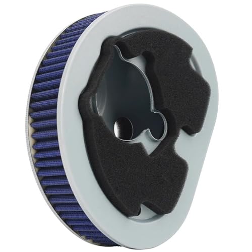 Filtre à air moto pour Davidson FLHR Road King et FLHTCU Electra Glide Sport