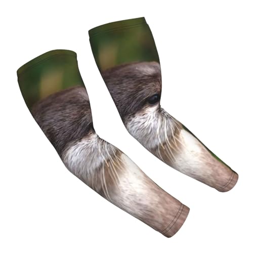 Chioee A[Jo[  A[X[u 킢 JE\ O΍ ⊴  UVJbgA[Jo[  Yh~ O UVrJo[ ʋC  Lk ~ lG EghA X|[c ނ ^] ]ԗp jp 2